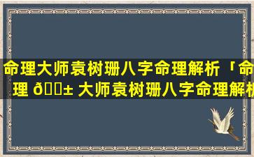 命理大师袁树珊八字命理解析「命理 🐱 大师袁树珊八字命理解析大全」